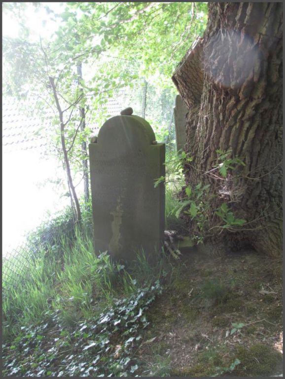 Der alte jüdische Friedhof in Bad Bentheim Jüdische Friedhöfe in